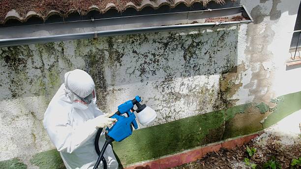 Trusted Commercial Mold Remediation service in Saint Francis, MN - Cheap Mold Removal